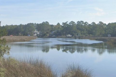 Land in Milton, Florida № 2147518 - photo 4