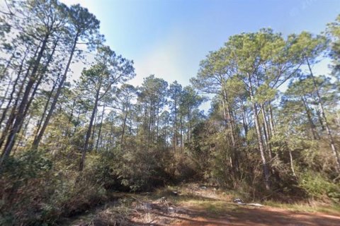 Land in Milton, Florida № 2147518 - photo 7