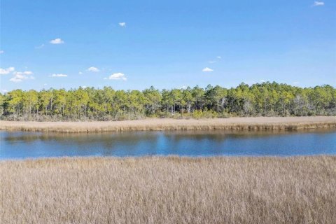 Land in Milton, Florida № 2147518 - photo 3