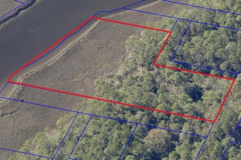 Land in Milton, Florida № 2147518 - photo 21