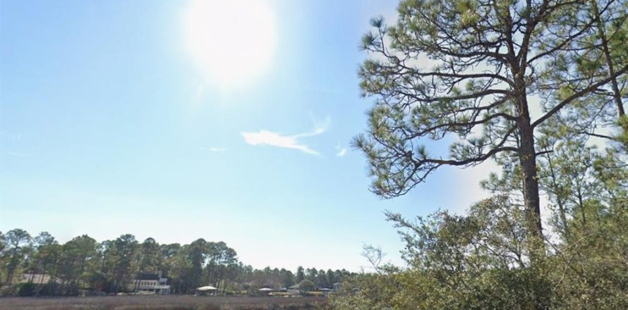 Land in Milton, Florida № 2147518