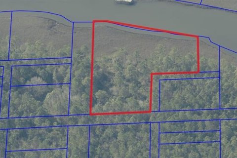 Land in Milton, Florida № 2147518 - photo 20