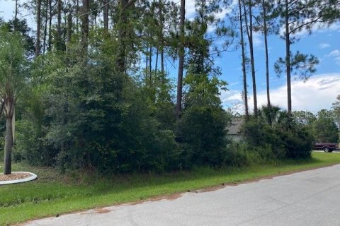 Land in Palm Coast, Florida № 1778705 - photo 2
