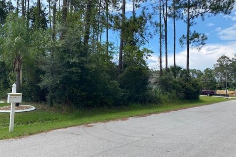 Land in Palm Coast, Florida № 1778705 - photo 1