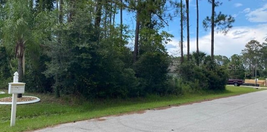 Land in Palm Coast, Florida № 1778705