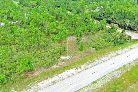 Land in Lehigh Acres, Florida № 2164320 - photo 5