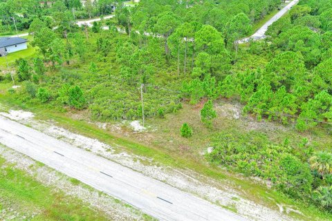 Land in Lehigh Acres, Florida № 2164320 - photo 9