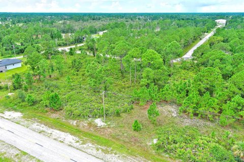 Land in Lehigh Acres, Florida № 2164320 - photo 8