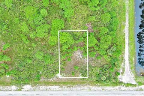 Land in Lehigh Acres, Florida № 2164320 - photo 18