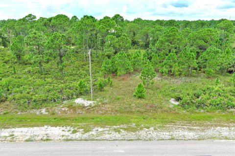 Land in Lehigh Acres, Florida № 2164320