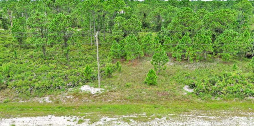Land in Lehigh Acres, Florida № 2164320