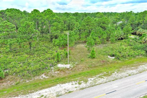 Land in Lehigh Acres, Florida № 2164320 - photo 2