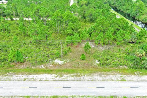 Land in Lehigh Acres, Florida № 2164320 - photo 6
