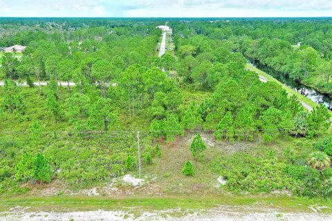 Land in Lehigh Acres, Florida № 2164320 - photo 7