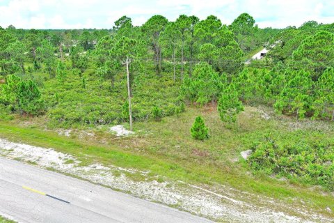 Land in Lehigh Acres, Florida № 2164320 - photo 3