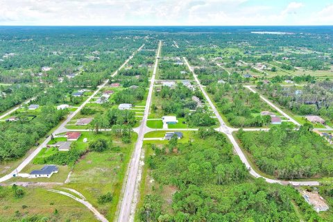 Land in Lehigh Acres, Florida № 2164320 - photo 17