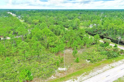 Land in Lehigh Acres, Florida № 2164320 - photo 4