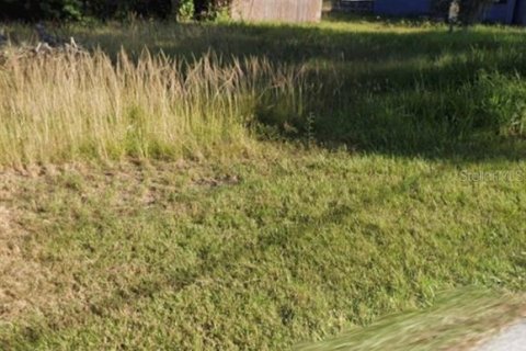 Land in Tampa, Florida № 2196223