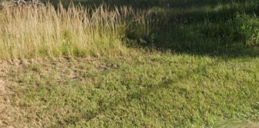 Land in Tampa, Florida № 2196223