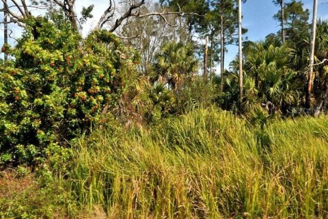 Land in North Port, Florida № 2162034