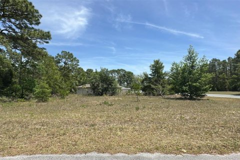 Land in Ocala, Florida № 1650081 - photo 3