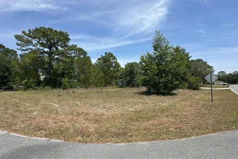Land in Ocala, Florida № 1650081 - photo 1