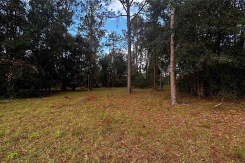Land in Eustis, Florida № 1869216 - photo 7