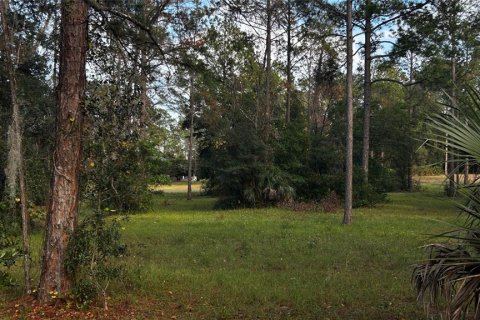 Land in Eustis, Florida № 1869216 - photo 10