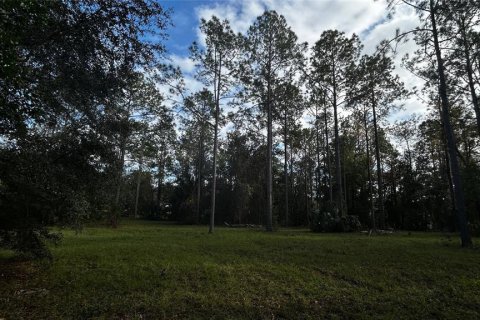Land in Eustis, Florida № 1869216 - photo 11