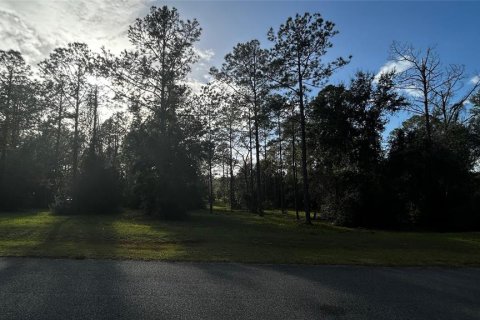 Land in Eustis, Florida № 1869216 - photo 13