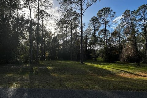 Land in Eustis, Florida № 1869216 - photo 14