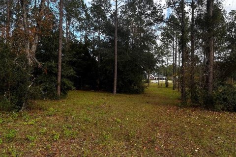 Land in Eustis, Florida № 1869216 - photo 8