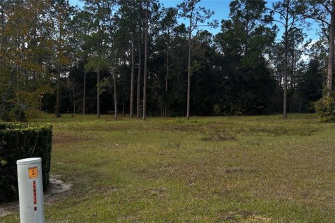 Land in Eustis, Florida № 1869216 - photo 4