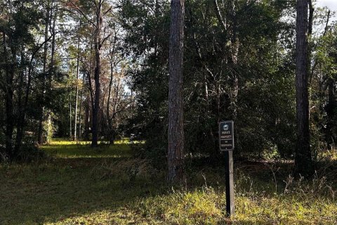Land in Eustis, Florida № 1869216 - photo 12
