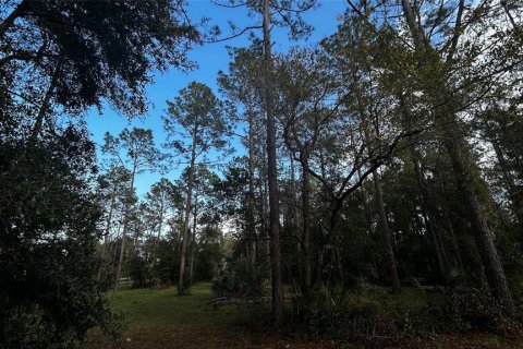 Land in Eustis, Florida № 1869216 - photo 9