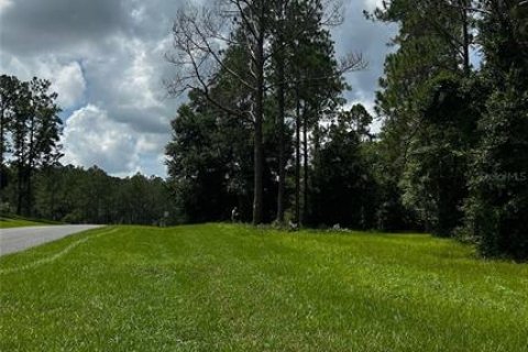 Land in Eustis, Florida № 1869216 - photo 1