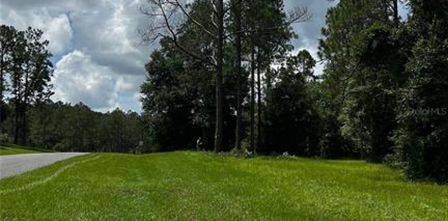 Land in Eustis, Florida № 1869216