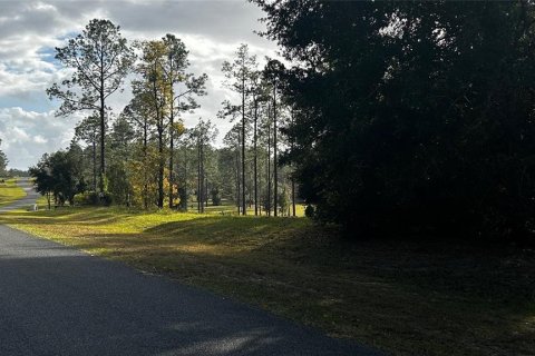 Land in Eustis, Florida № 1869216 - photo 5