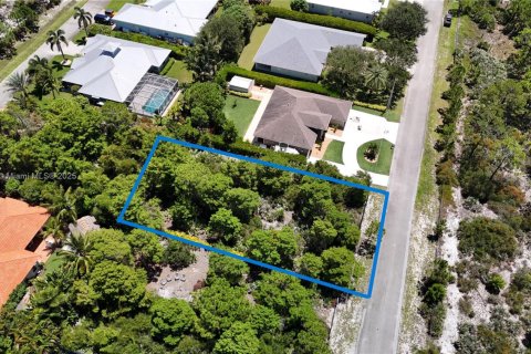 Land in Jupiter, Florida № 1838702 - photo 2