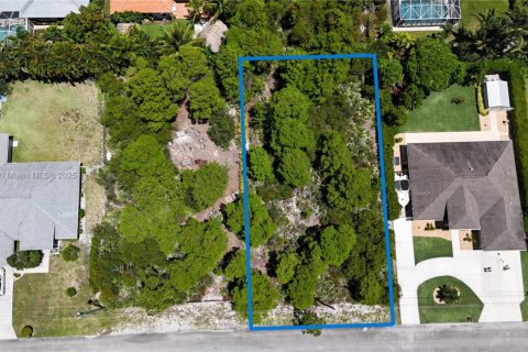 Land in Jupiter, Florida № 1838702 - photo 3
