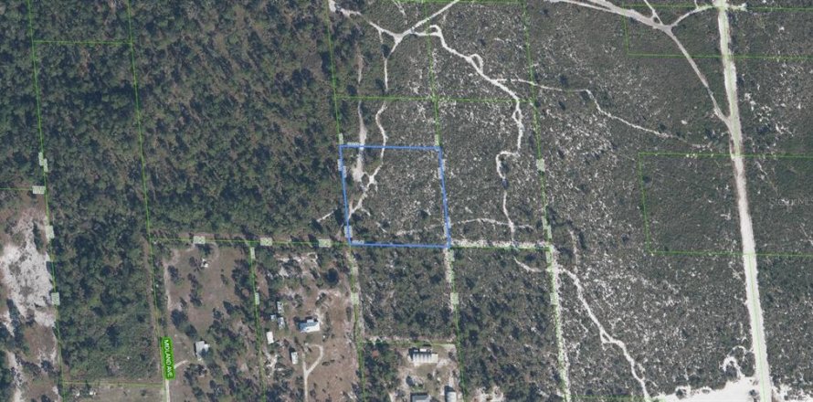 Terrain à Lake Placid, Floride № 2233544