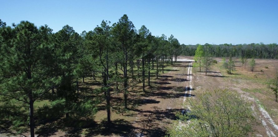 Terrain à Hilliard, Floride № 882150