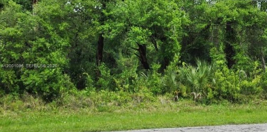 Terreno en Clewiston, Florida № 2065353