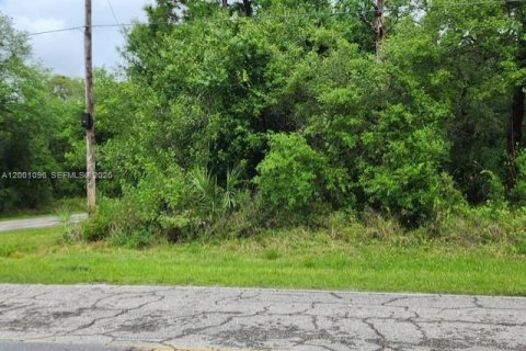 Terreno en venta en Clewiston, Florida № 2065353 - foto 6