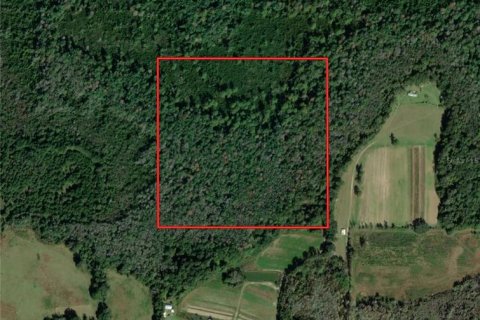 Land in Madison, Florida № 1533887 - photo 1