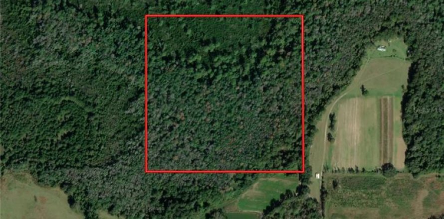 Land in Madison, Florida № 1533887