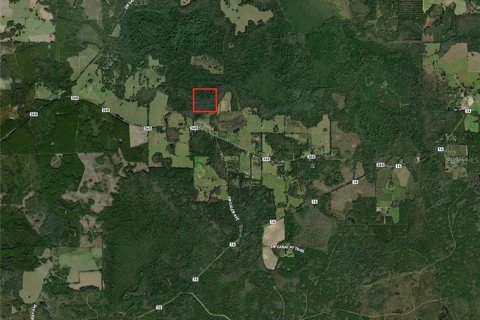 Land in Madison, Florida № 1533887 - photo 2