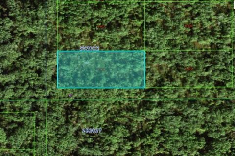 Terreno en Polk City, Florida № 2202844