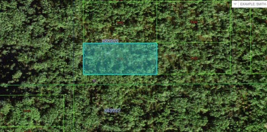 Terrain à Polk City, Floride № 2202844