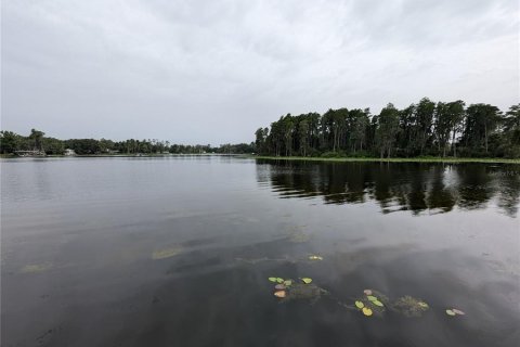 Купить земельный участок в Лутц, Флорида № 1602884 - фото 22